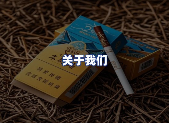 专业团队